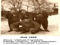 1955.4