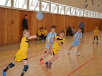1dsc-0229