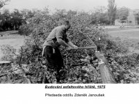 1975.25